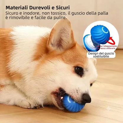 PallaPazza 🎾